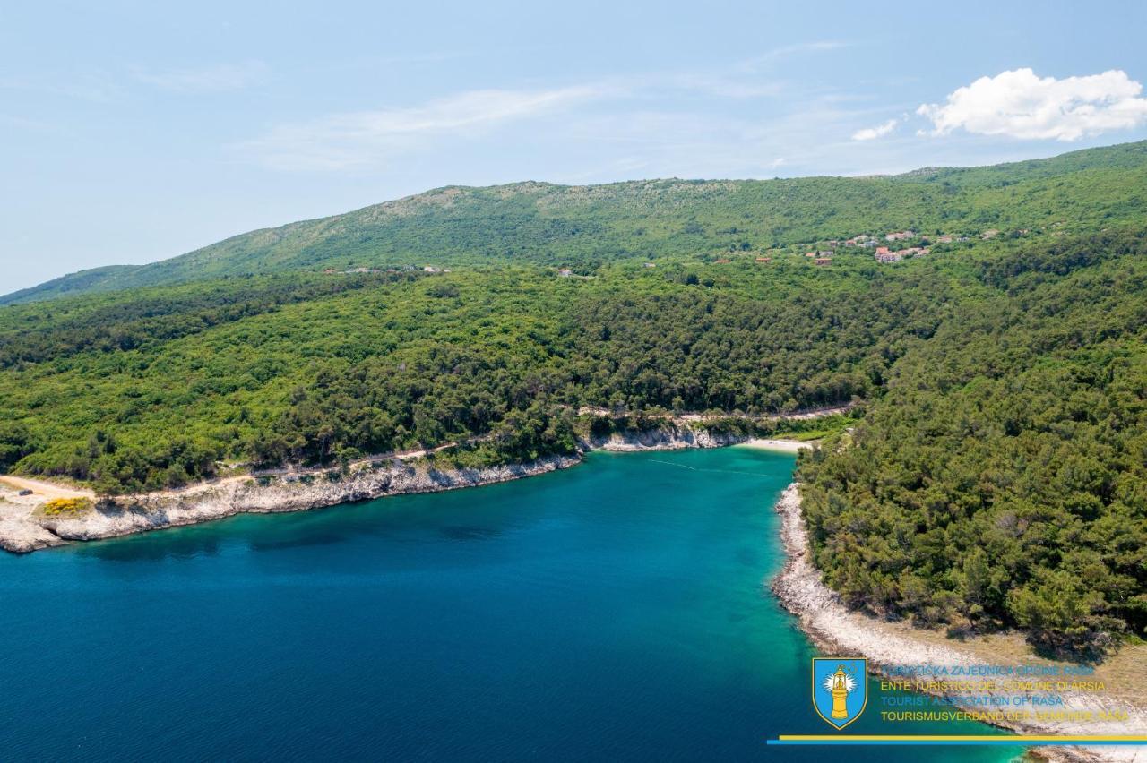 Yourcroatiaholiday - Villa With 6 Rooms Дрене Экстерьер фото